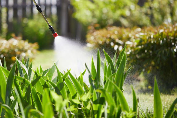 Tamper-Resistant Bait Stations for Rodents in Desert Hot Springs