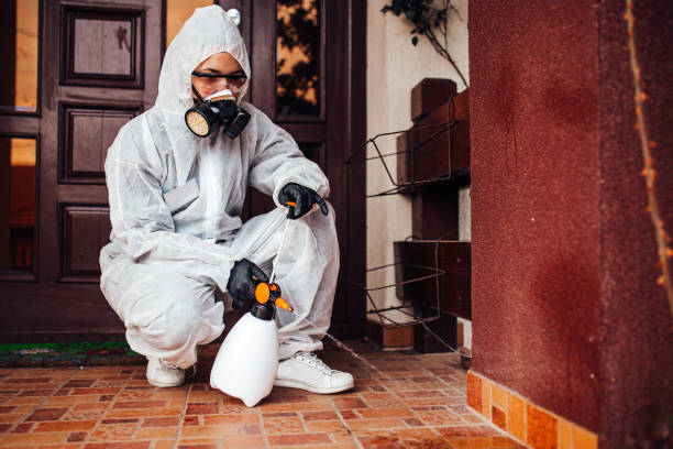 Attic and Crawl Space Rodent Treatment in Desert Hot Springs